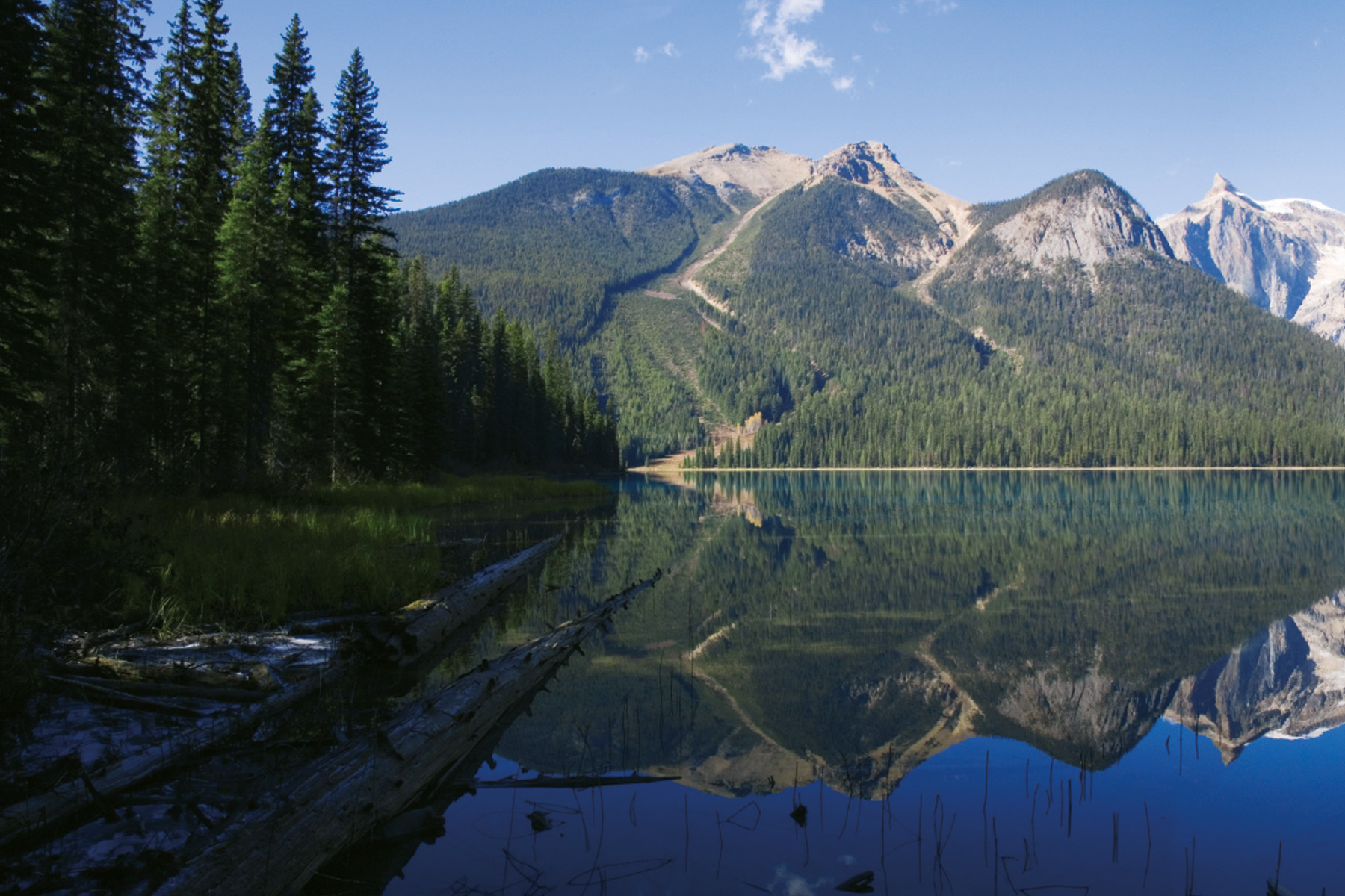 Massivholzfassaden aus Kanada
