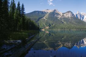 Massivholzfassaden aus Kanada